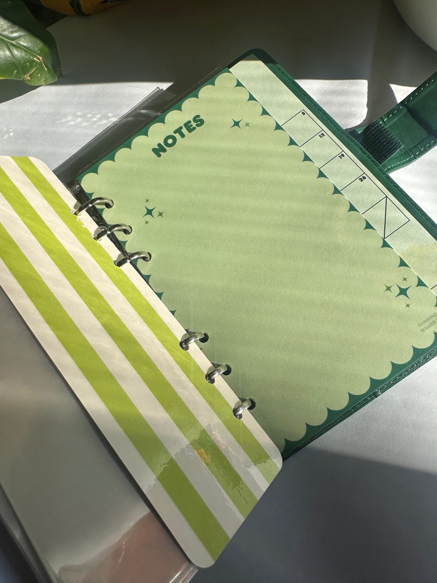 A6 Notes Pages