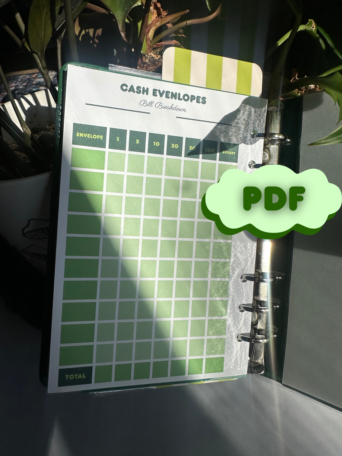 FREE PDF Cash Denomination Breakdown